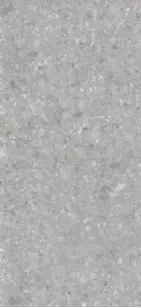 Керамогранит RAK Ceramics Ceppo Di Gre Stone Mid Grey Matte Structure A 60x120 AN12GZCPDG-0
