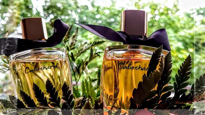 CABOCHARD 2019. Обзор новинки в EDT и EDP