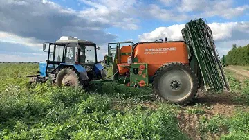 Десикация ботвы картофеля / Опрыскиватель AMAZONE UG 3000 SPECIAL / Работа с AMATRON 3 и AMAPILOT