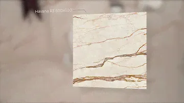 Havana 600х600 porcelain gres
