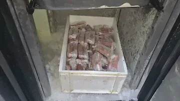 Ремонт морозильной камеры Polair.