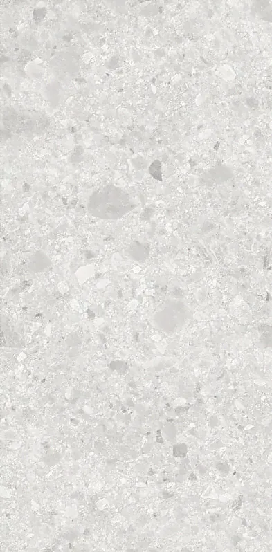 Керамогранит Art&Natura Ceramica Ceppo di Gre Blanco 60х120 (Индия)-0