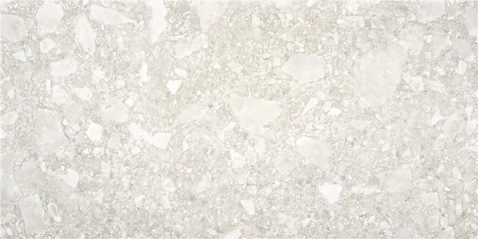Keratile Ceppo Di Gre Light Grey 60x120-0